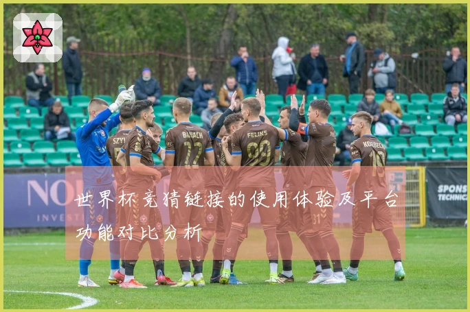 世界杯竞猜链接的使用体验及平台功能对比分析