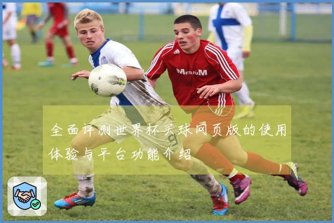 全面评测世界杯买球网页版的使用体验与平台功能介绍