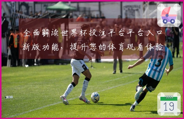全面解读世界杯投注平台平台入口新版功能，提升您的体育观看体验