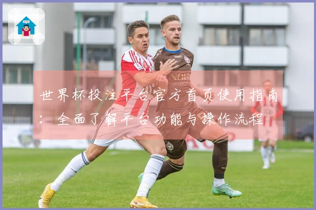 世界杯投注平台官方首页使用指南：全面了解平台功能与操作流程