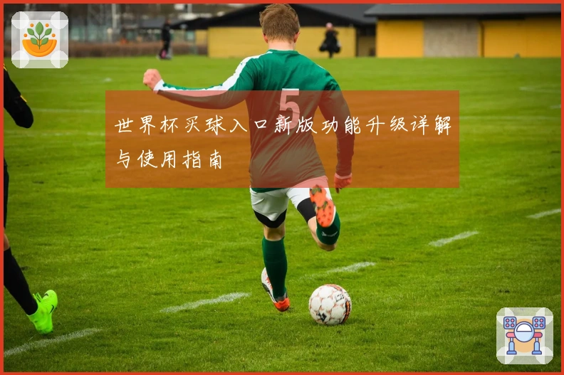 世界杯买球入口新版功能升级详解与使用指南