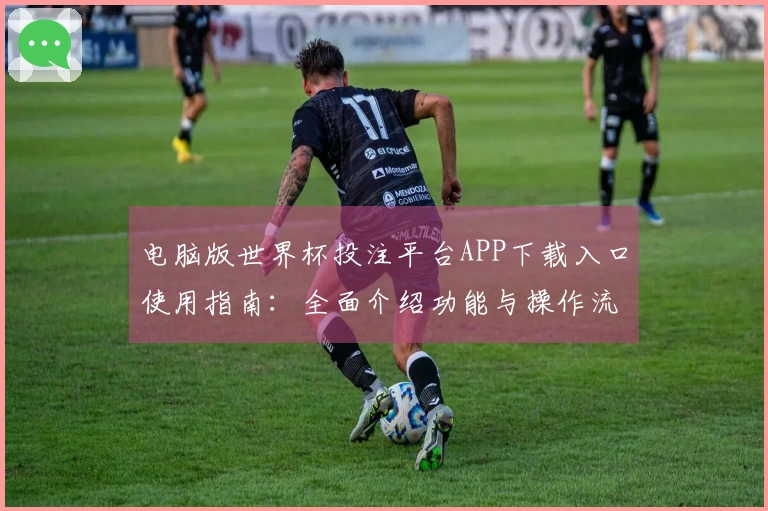 电脑版世界杯投注平台APP下载入口使用指南：全面介绍功能与操作流程