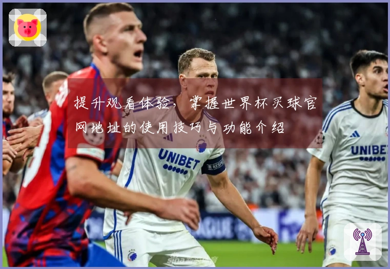 提升观看体验，掌握世界杯买球官网地址的使用技巧与功能介绍