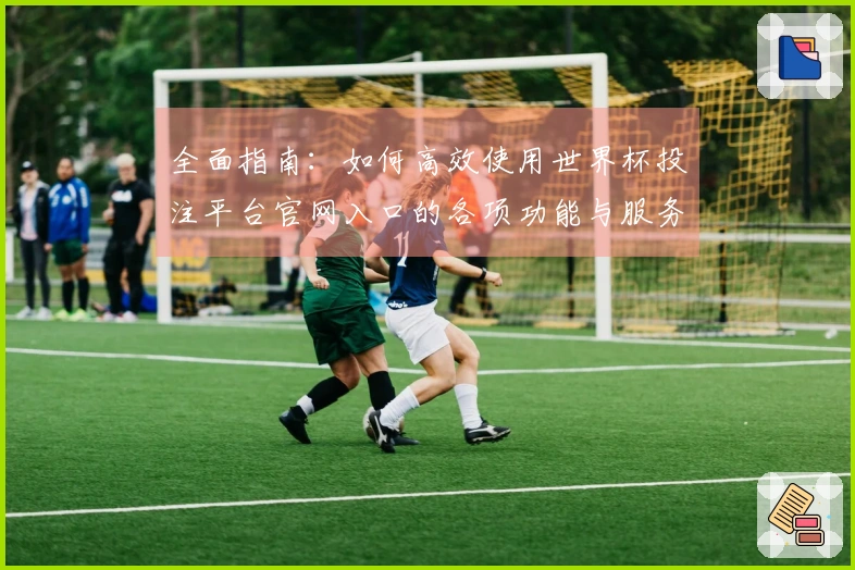 全面指南：如何高效使用世界杯投注平台官网入口的各项功能与服务
