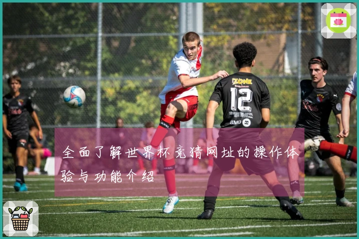 全面了解世界杯竞猜网址的操作体验与功能介绍