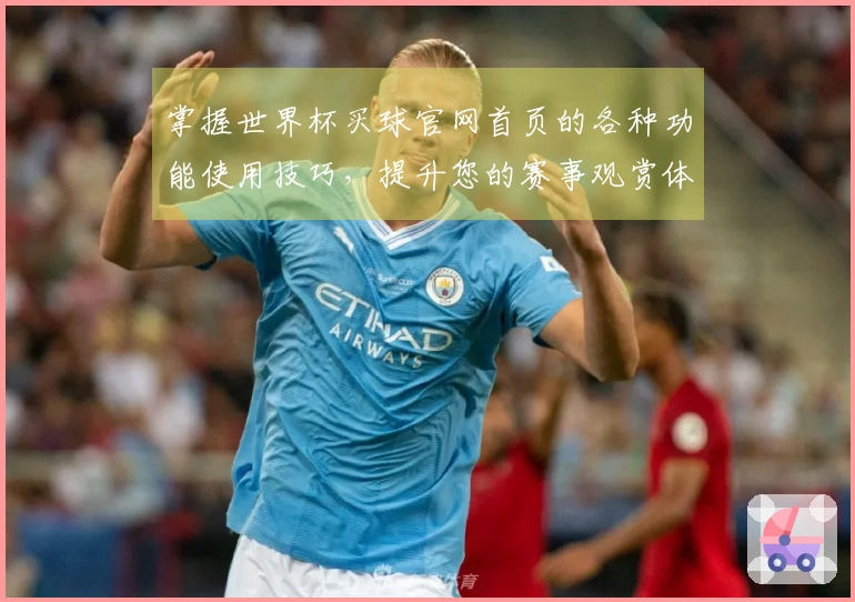 掌握世界杯买球官网首页的各种功能使用技巧，提升您的赛事观赏体验
