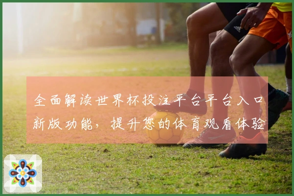 全面解读世界杯投注平台平台入口新版功能，提升您的体育观看体验