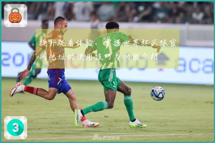 提升观看体验，掌握世界杯买球官网地址的使用技巧与功能介绍