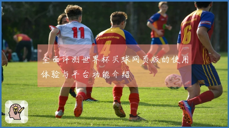 全面评测世界杯买球网页版的使用体验与平台功能介绍