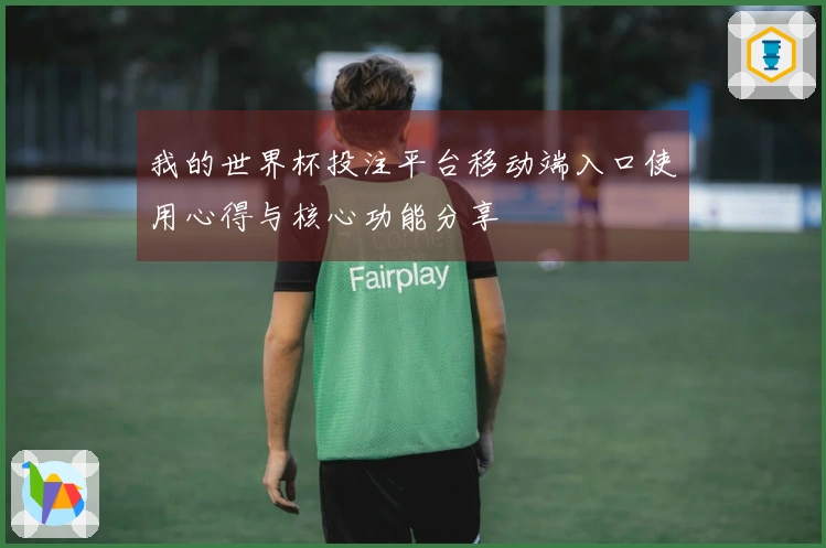 我的世界杯投注平台移动端入口使用心得与核心功能分享